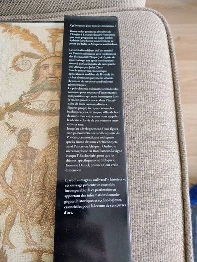 La Mosaique en Tunisie the mosaics of Tunisia large coffee table book in very good condition with no issues 270 pages with lots of pictures etc see photos FREE STANDARD POSTAGE INCLUDED