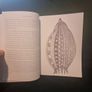 Life under the lens: A Scientific Colouring Book (Soft cover) Image 3