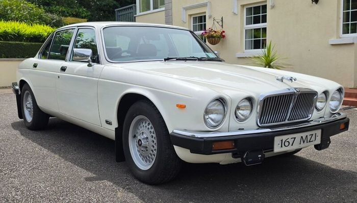 Jaguar XJ 1980 (Perfect wedding car)