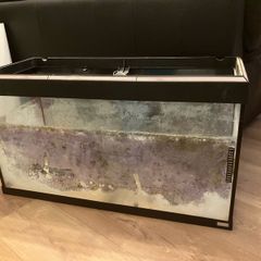 Fluval fish tank free to take away