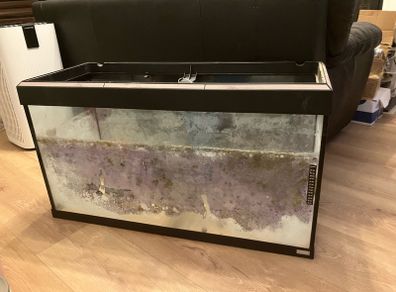Fluval fish tank free to take away