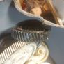 Gears Cogs for paper shredders Image 5