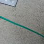 Green Plastic Clothes Line x 2 for Sale Image 2
