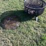 fire pit Image 2