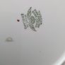 Tuscan "Lotus Flower" plate& saucer Image 2