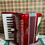 Piano accordion Parrot for kids Image 3