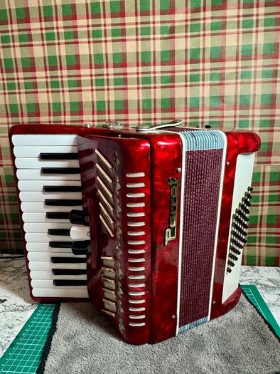 Piano accordion Parrot for kids