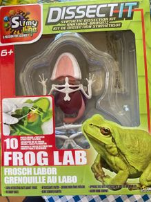 Dissect It (Frog)  from Slimy Lab.