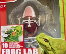 Dissect It (Frog)  from Slimy Lab.