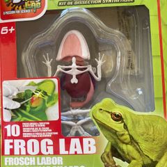 Dissect It (Frog)  from Slimy Lab.