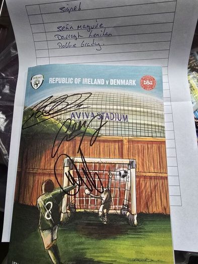 ireland v Denmark