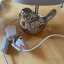 Lamp - bird Image 2