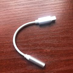 Lightning to 3.5mm Headphone Jack Adapter