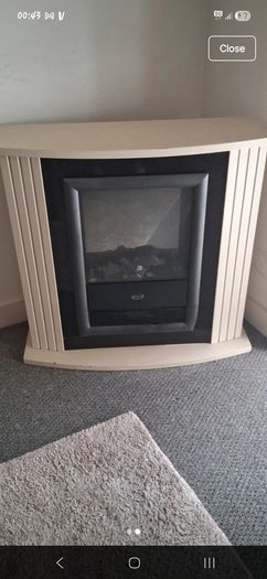 Electric fire