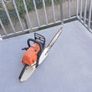stihl ms261 Image 4