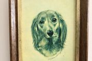 Vintage Pollyanna Pickering Framed Long-Haired Dachshund Dog Print 16cm x 13cm