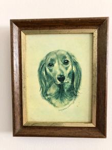 Vintage Pollyanna Pickering Framed Long-Haired Dachshund Dog Print 16cm x 13cm