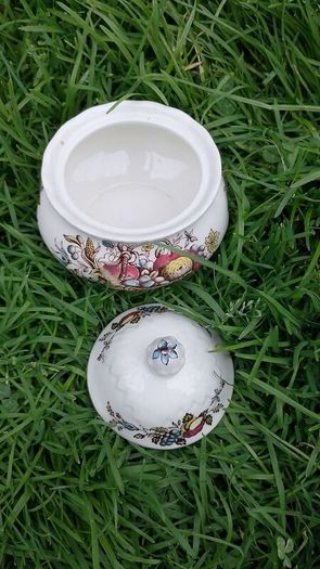 Fruits and Flowers Sugar Bowl