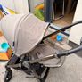 Buggy Image 2