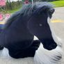 toy horse Image 2