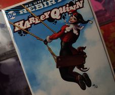 Harley Quinn ! Issue #21 ! Frank Cho Variant Cover ! 2015 ! by DC Comics !
