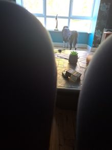 dinner
