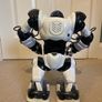 robosapion Image 4