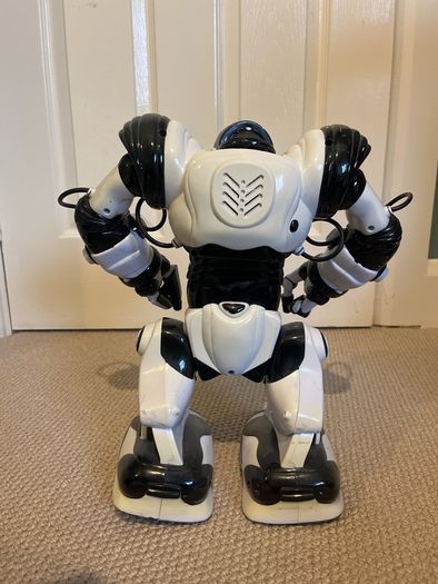 robosapion