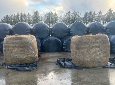 Silage Bales for sale