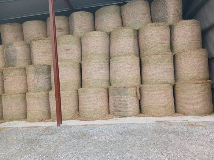 Hay