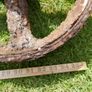 ANTIQUE FORGED IRON FARM WHEEL Rustic Garden Art Beautiful to Display in Your Garden Image 6