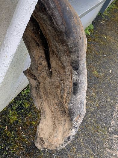 Substantial Collection of Old Bog Oak. Delivery by van can be arranged.