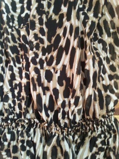 Zara dress