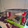 Hamster Cage and Accessories Bundle Image 3