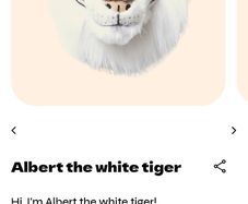 wild and soft tiger and elephant head