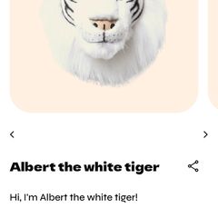 wild and soft tiger and elephant head