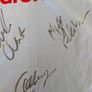 Signed 2010 Dublin gaa jersey Image 10