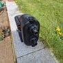 Grundfos Scala 2 Pump Image 2