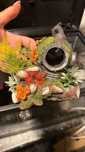 fish tank