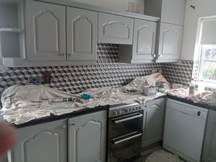 Painter decorator (s.c.s.painters)