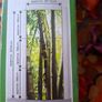 self adhesive door decoration Image 2