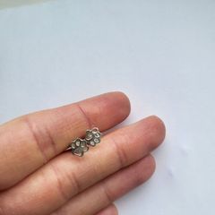 Sterling silver dog paws stud earrings
