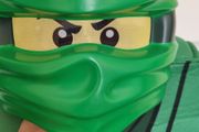 Ninjago Costume