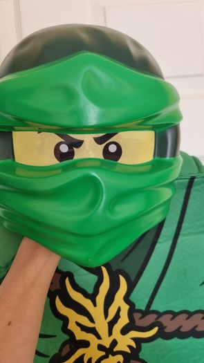 Ninjago Costume