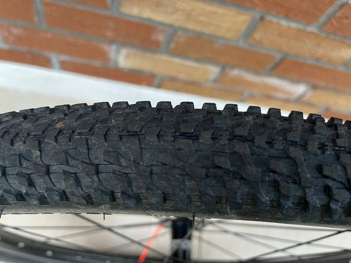 Frog Mountain Bike