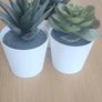 Decorative plastic succulents Image 3
