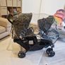 Double Buggy Image 6