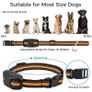 3300Ft Electric Dog Training Collar Remote Control Waterproof Pet Behavior For 5-120lbs Puppy With Shock Vibration Image 5