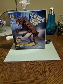 Dinosaur excavation kit