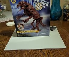 Dinosaur excavation kit